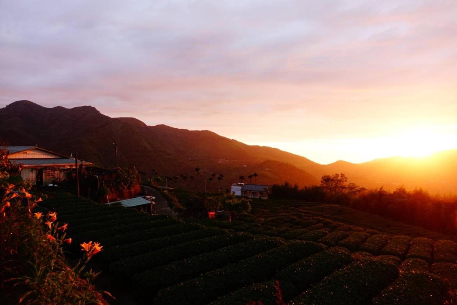 Gaodiyuan Tea B&B 高帝園茶業民宿 Meishan Extérieur photo