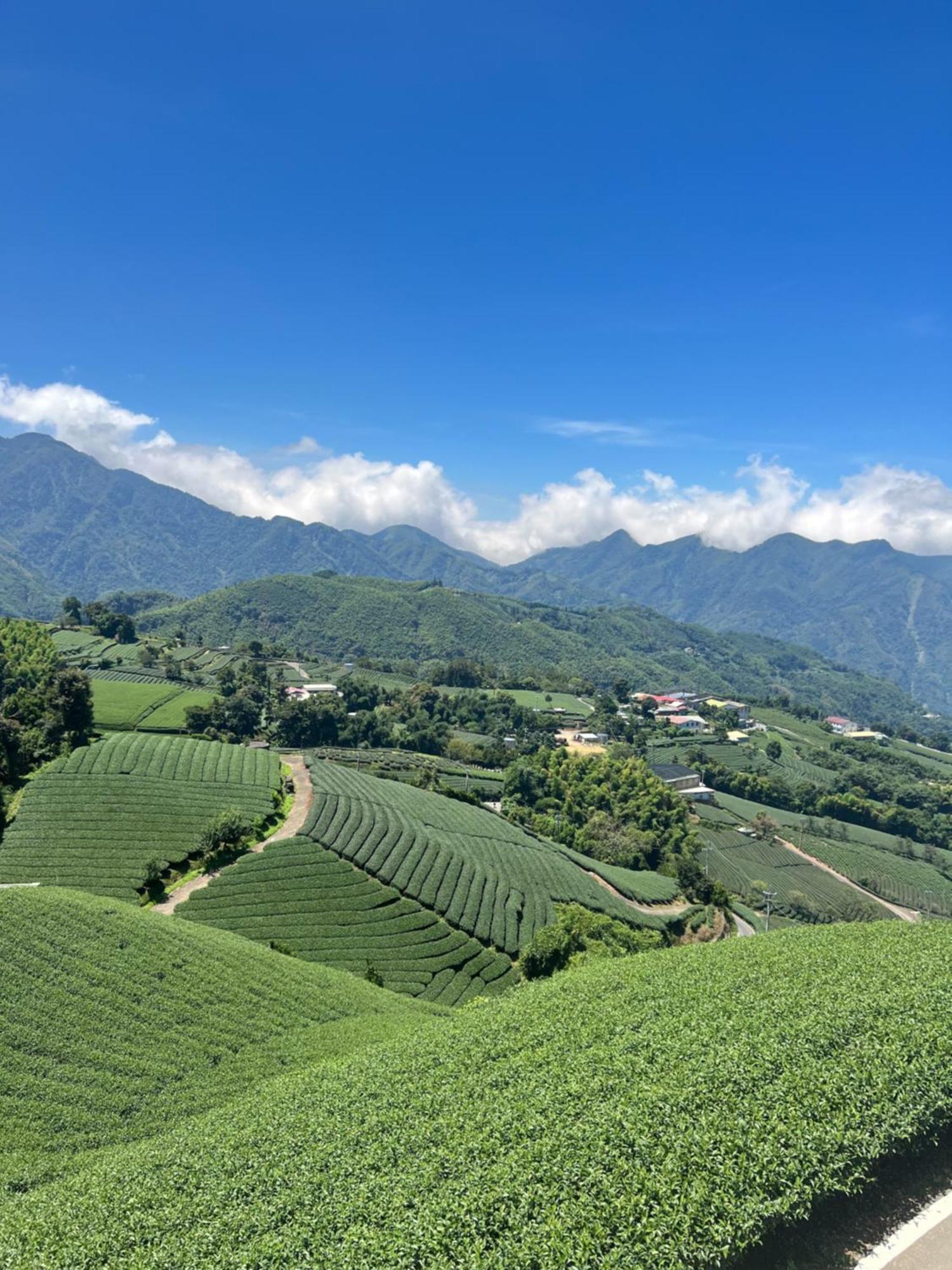 Gaodiyuan Tea B&B 高帝園茶業民宿 Meishan Extérieur photo
