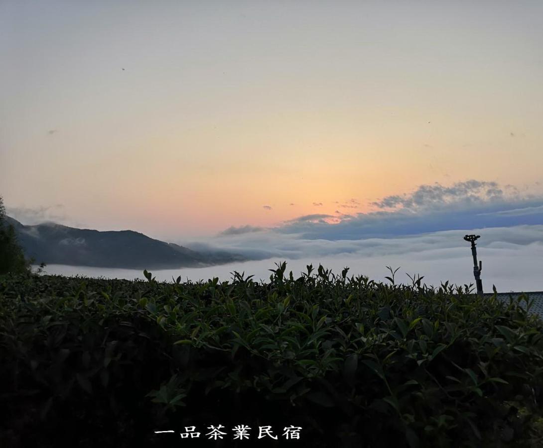 Gaodiyuan Tea B&B 高帝園茶業民宿 Meishan Extérieur photo